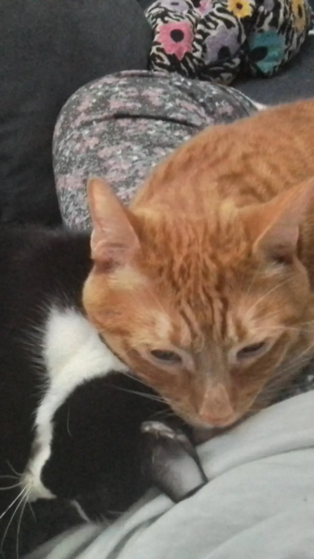 ai character:  cod background