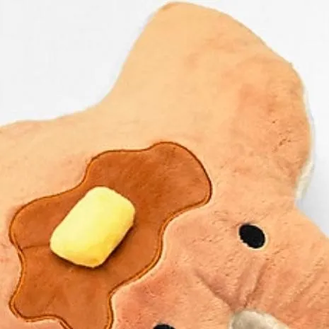 chat with ai character: flapjacks