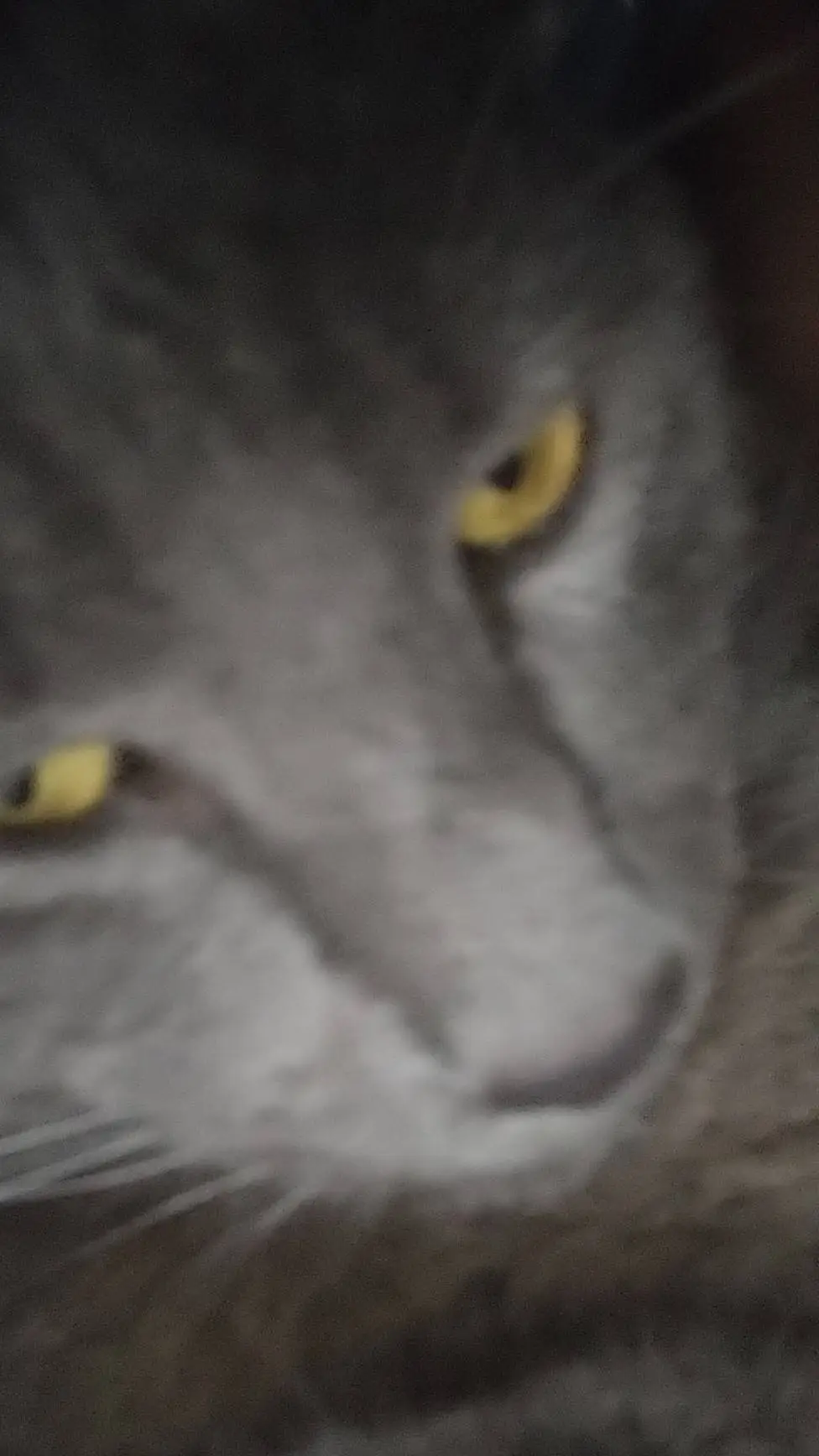 ai character: Smokey background