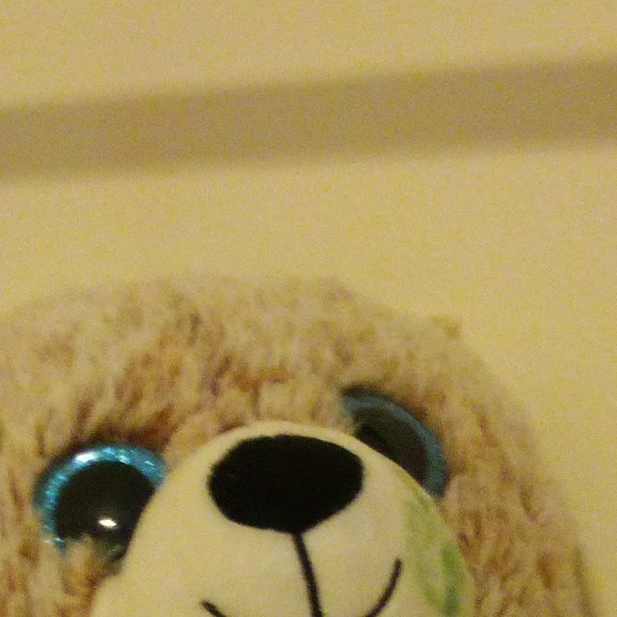 chat with ai character: teddy bear