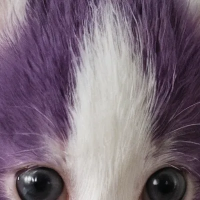 chat with ai character: Kitten uwu