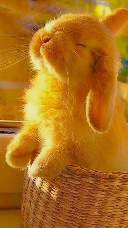 ai character:  fifth grade background