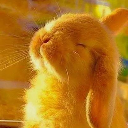 chat with ai character:  fifth grade