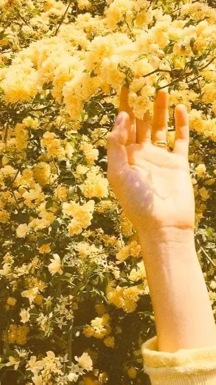 ai character: Moonstone family background