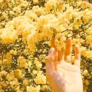 chat with ai character: Moonstone family