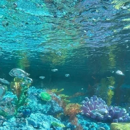 chat with ai character: Ocean