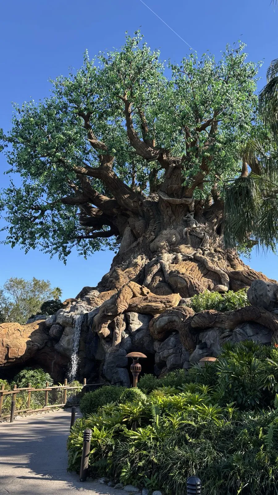 ai character: The world  background