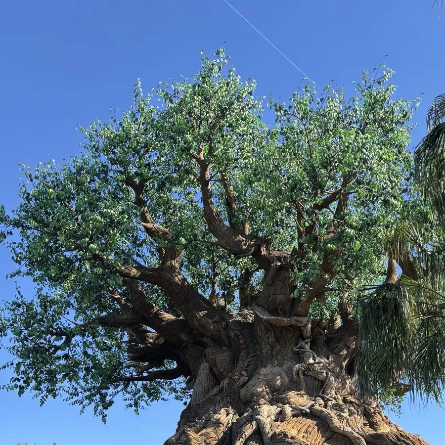 chat with ai character: The world 