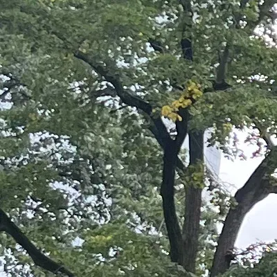 chat with ai character: Your family! 