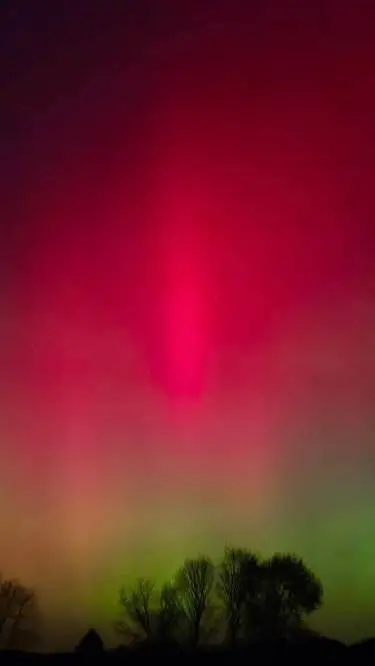 ai character: tanjiro background