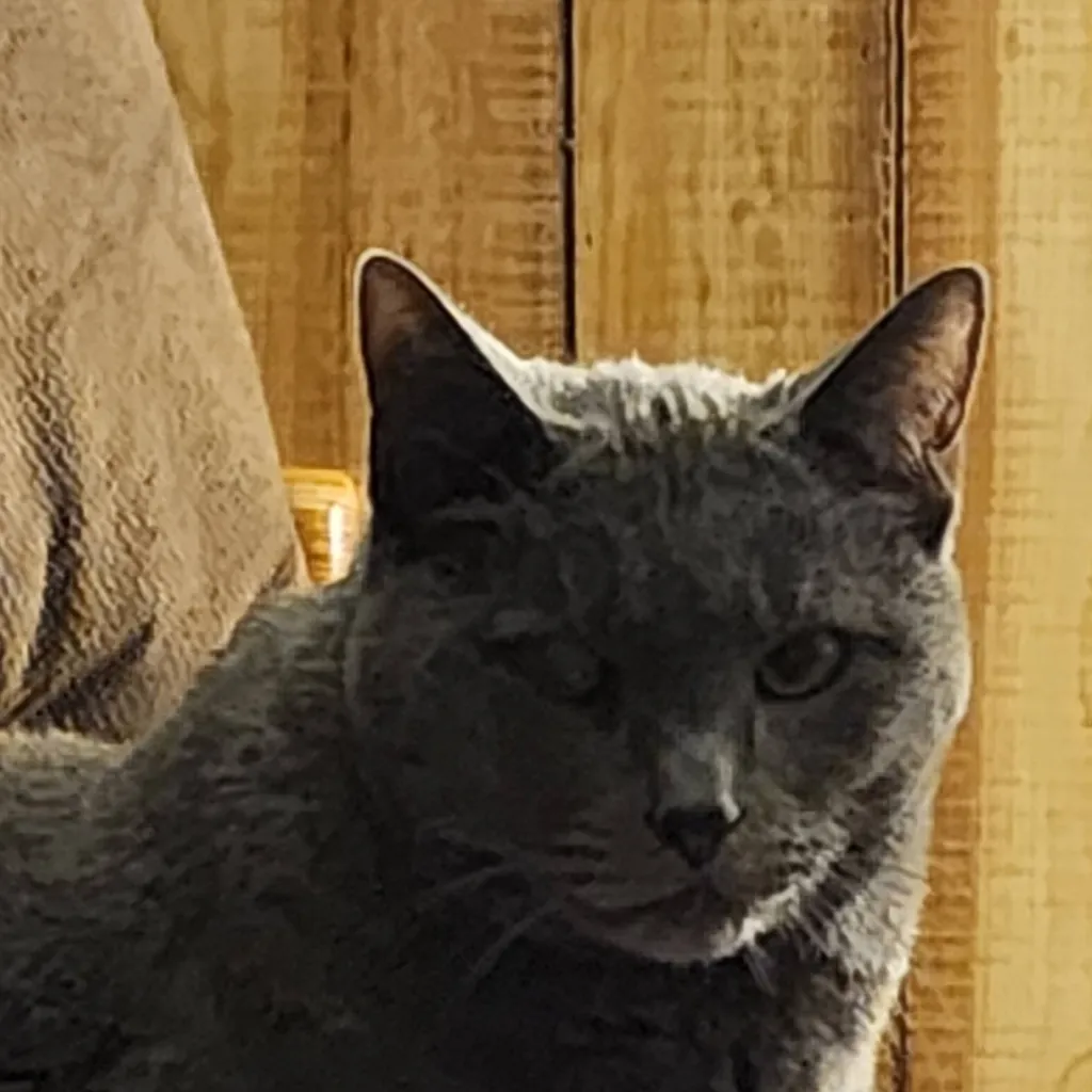 chat with ai character: michael afton