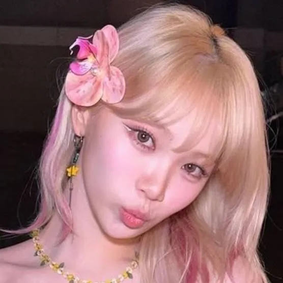 chat with ai character: Chae-won🌺