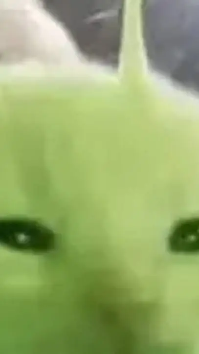 ai character: lost gnarpy school background