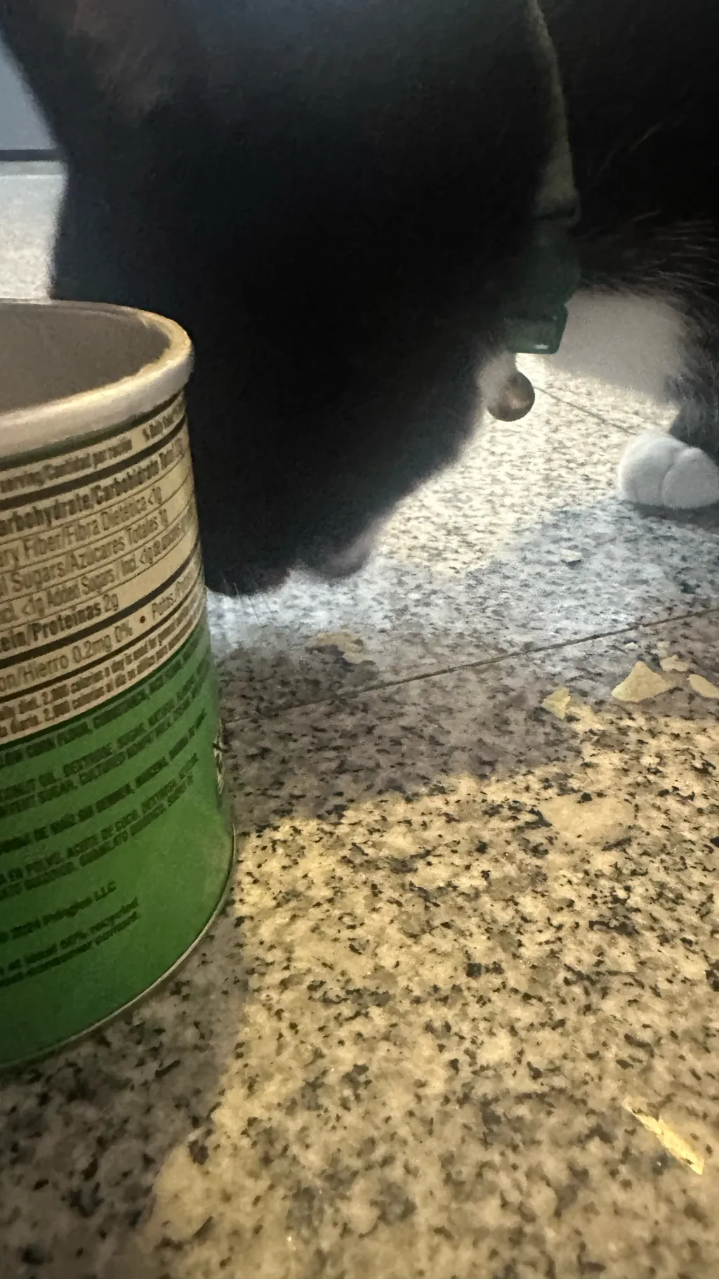 ai character: Choco clan background