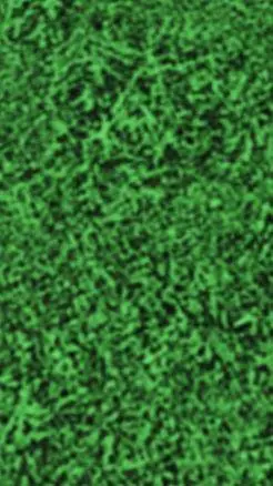 ai character: antiPiracy sprunki background