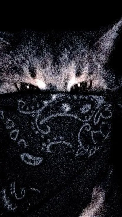 ai character: Gangsta cat background