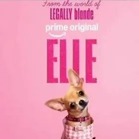 chat with ai character: Elle the show. 