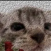 chat with ai character: ask any questions