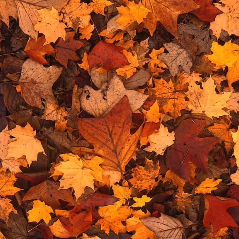 chat with ai character: The Avengers