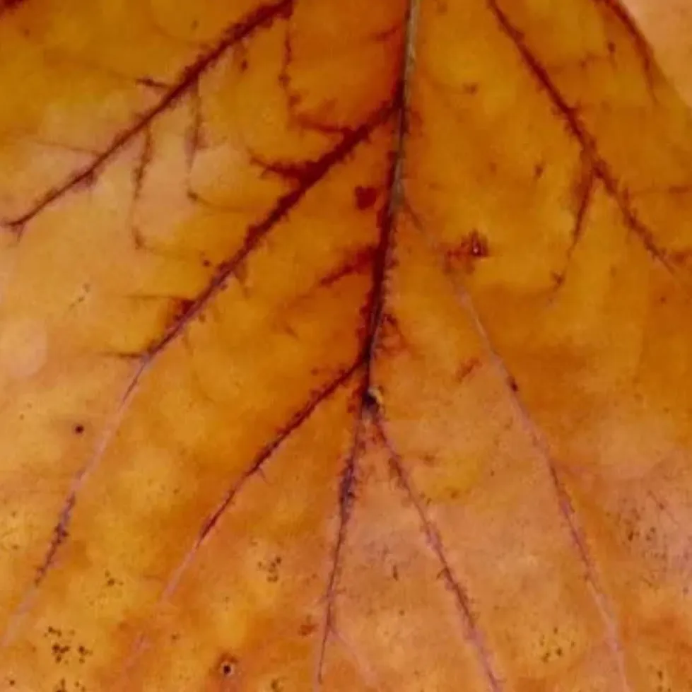 chat with ai character: Halloween special