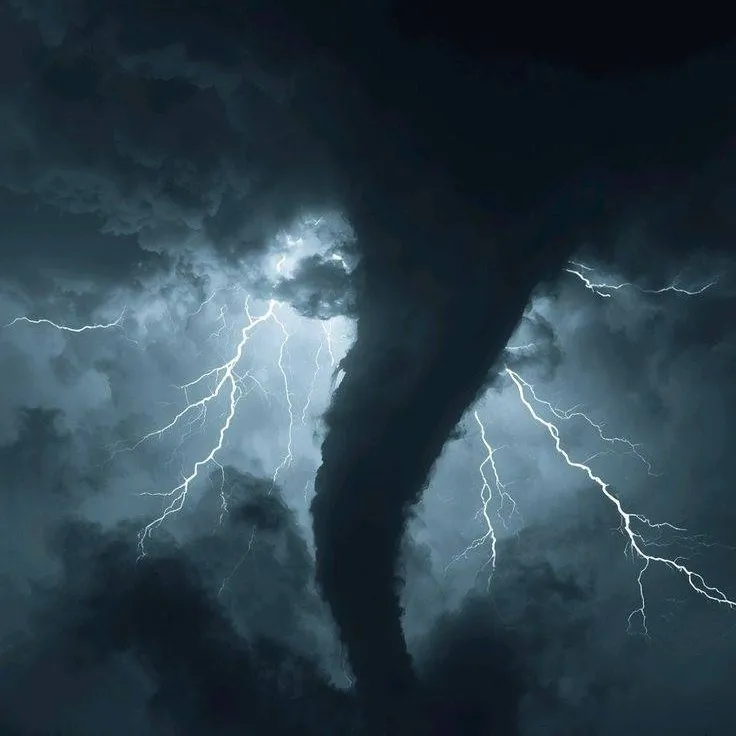 chat with ai character: The Walking Dead 1