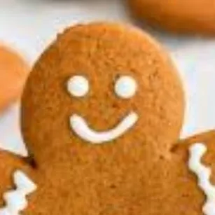 chat with ai character: mr ginger