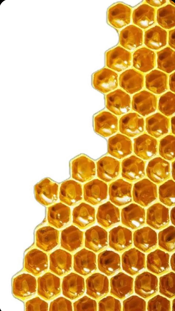 ai character: ❄️+D0UM@+❄️ background