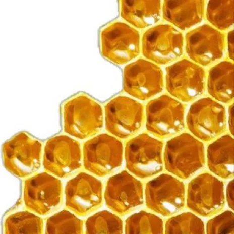 chat with ai character: ❄️+D0UM@+❄️