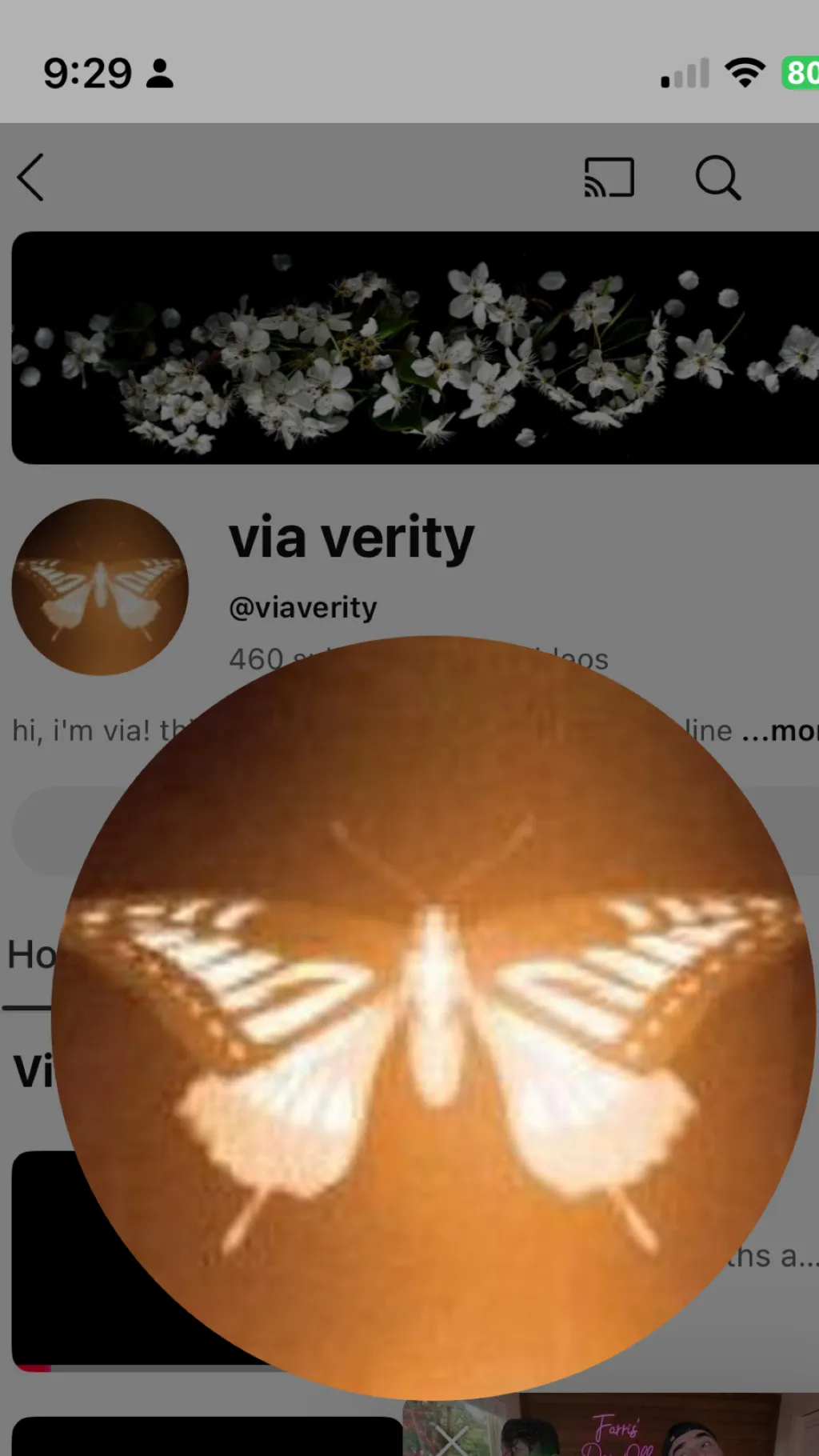 ai character: Via  background