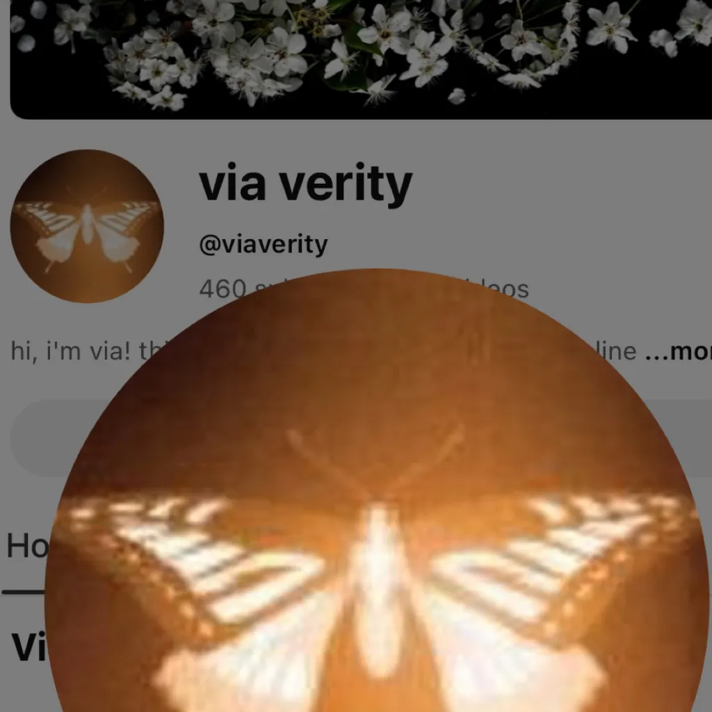 chat with ai character: Via 
