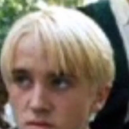 chat with ai character: Draco Malfoy 