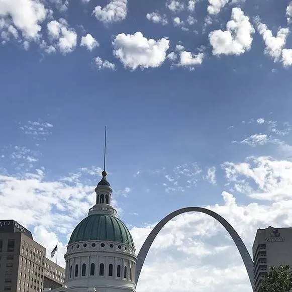 chat with ai character: pjo at ST. Louis