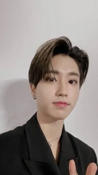 ai character: Han Jisung background