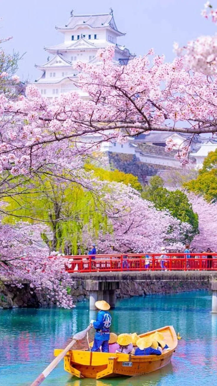 ai character: A Trip to Japan  background
