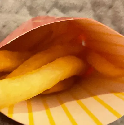 chat with ai character: FRIES :3