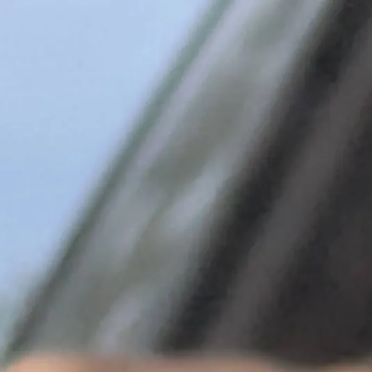 chat with ai character: My doggeh Chloe