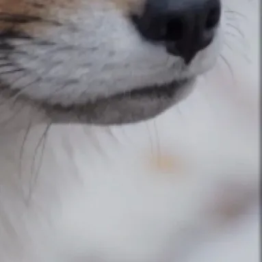 chat with ai character: •Major•