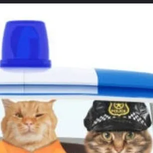 chat with ai character: police cat 🐱