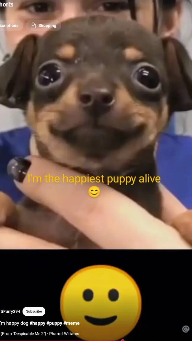 ai character: (you) background