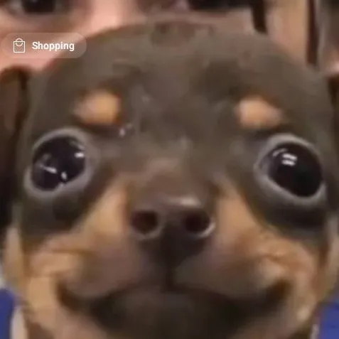 chat with ai character: (you)