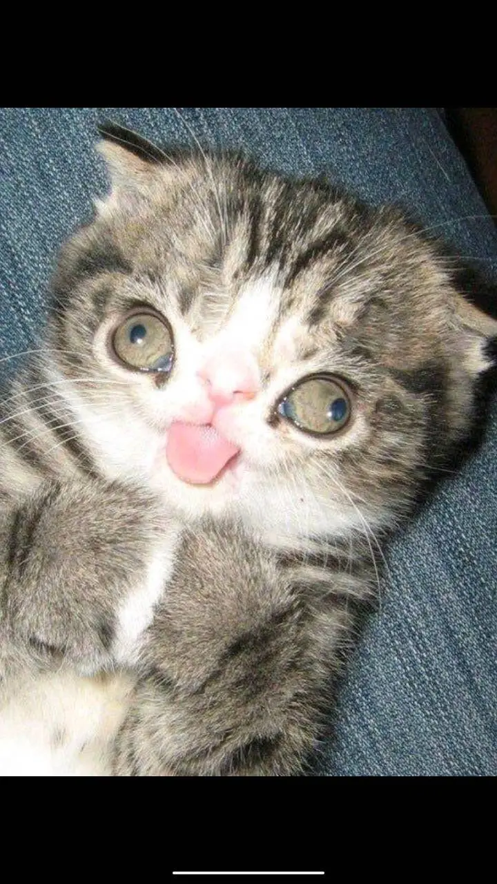 ai character: coco (you) background