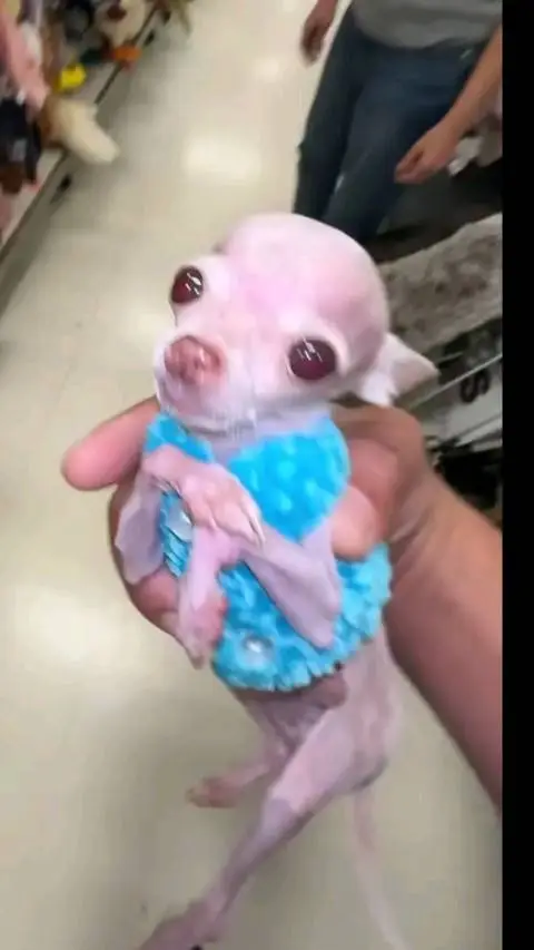 ai character: the store monster background