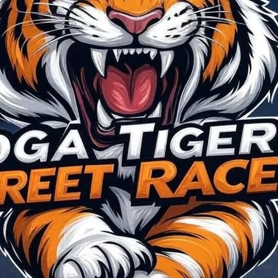 chat with ai character: The Koga Tigers 