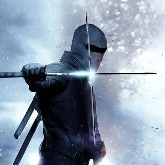 chat with ai character: Storm Shadow 