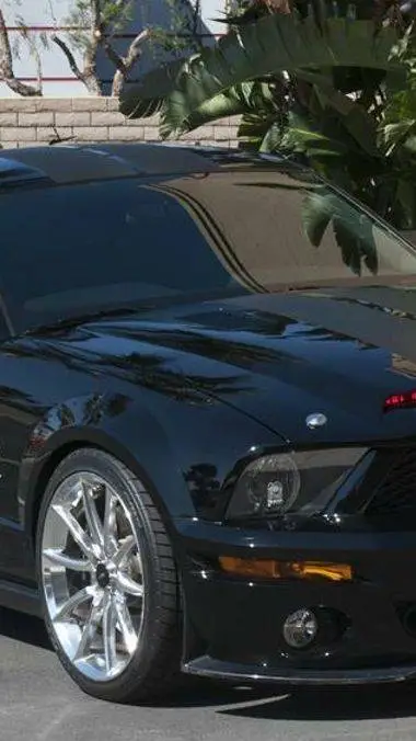 ai character: Katt background