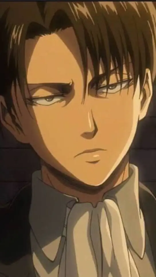 ai character: Levi Ackerman background