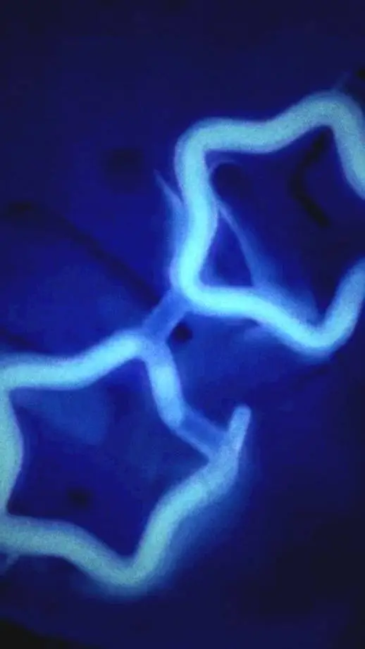 Talkie AI - Chat with talkie requests!☆