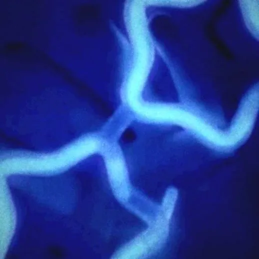 chat with ai character: talkie requests!☆