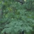 chat with ai character: Reading Time