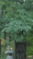 ai character: Reading Time background